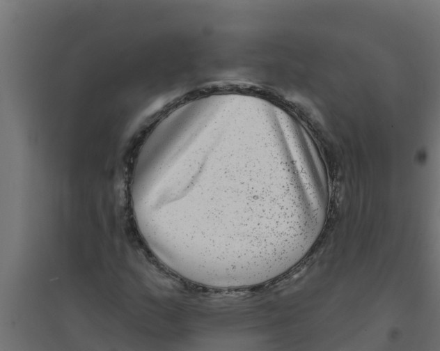 X0000094171159200711241524