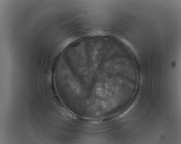 X0000094171161200711241524