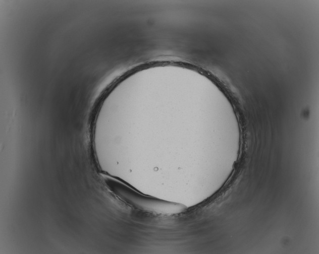 X0000094171167200711241524