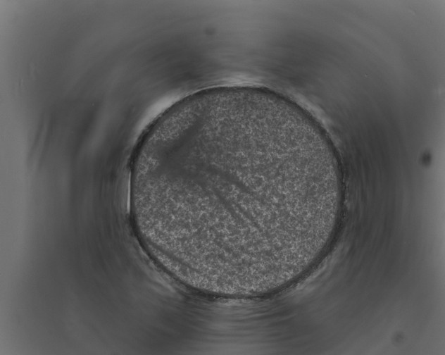 X0000094171171200711241523