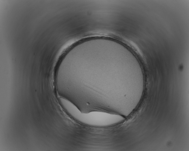 X0000094171172200711241523
