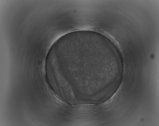 X0000094171174200711241523