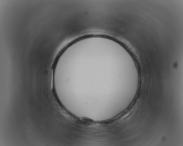 X0000094171175200711241523