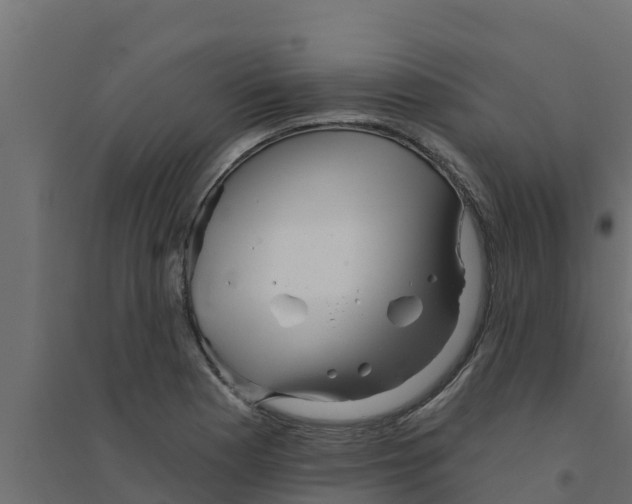 X0000094171177200711241523