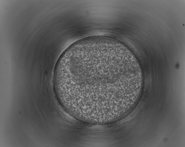 X0000094171178200711241523