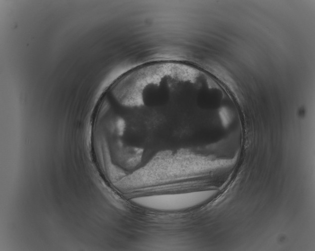 X0000094171179200711241523
