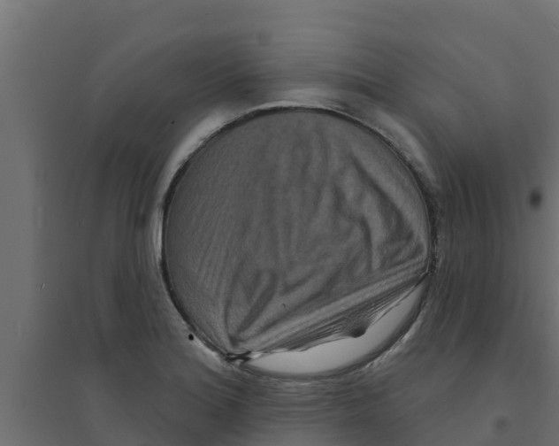 X0000094171180200711241523