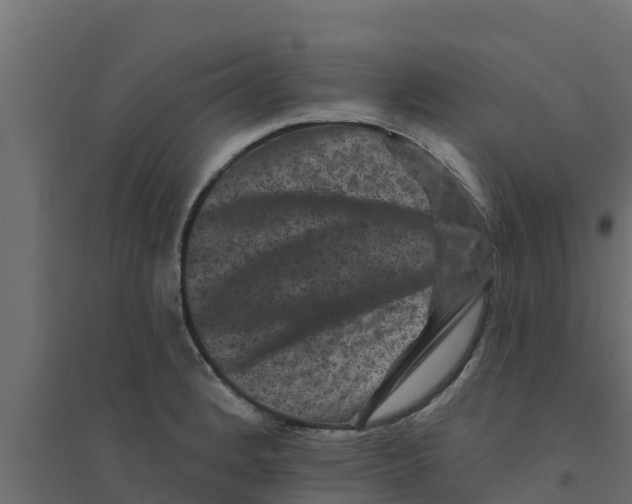 X0000094171184200711241523