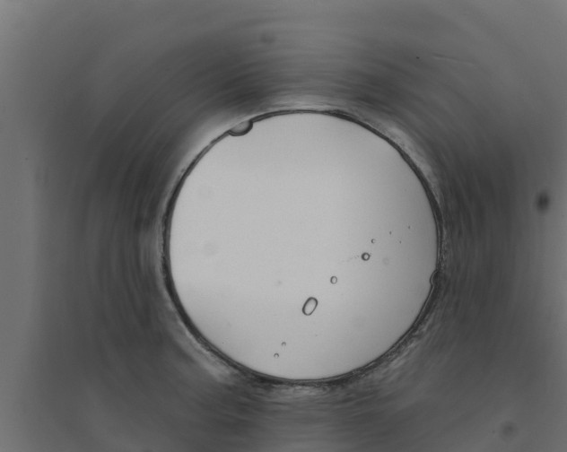 X0000094171187200711241523