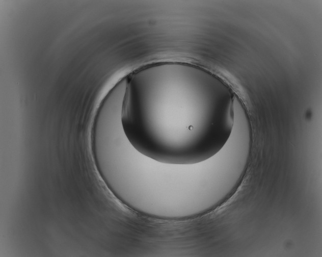 X0000094171188200711241523