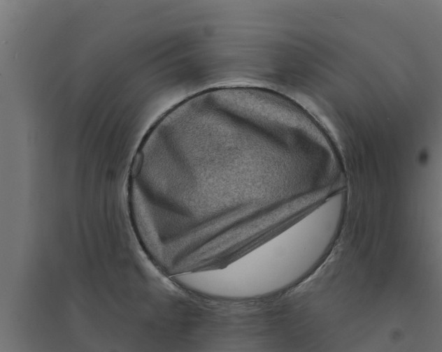 X0000094171189200711241523