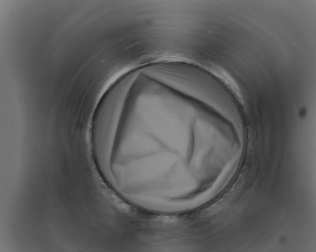 X0000094171190200711241523