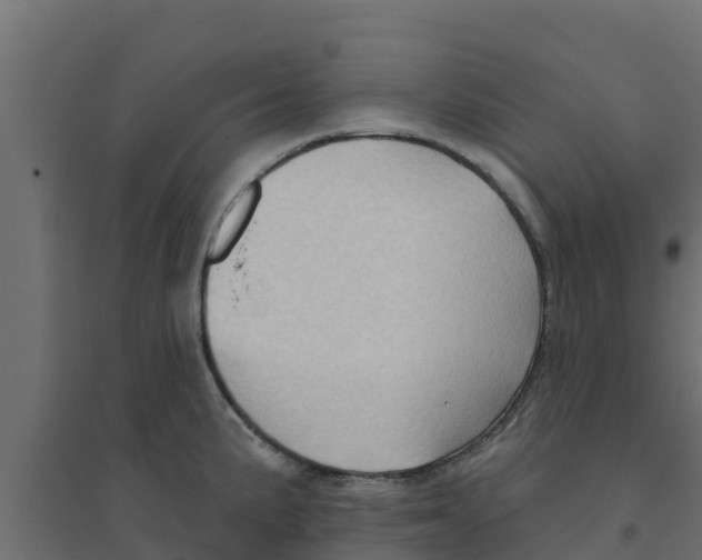 X0000094171191200711241523