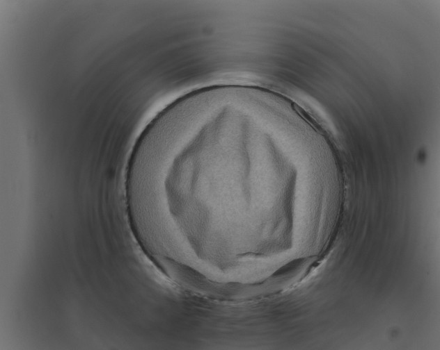 X0000094171192200711241523