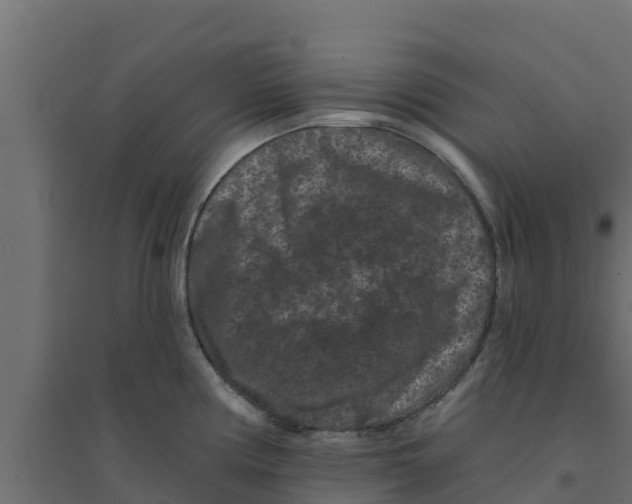 X0000094171194200711241523