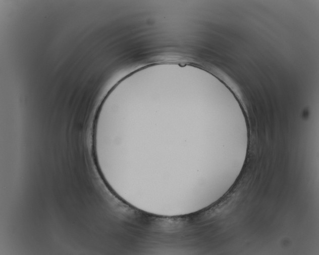 X0000094171195200711241523