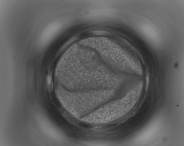 X0000094171198200711241523