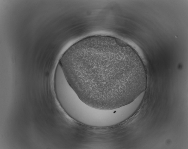 X0000094171199200711241523