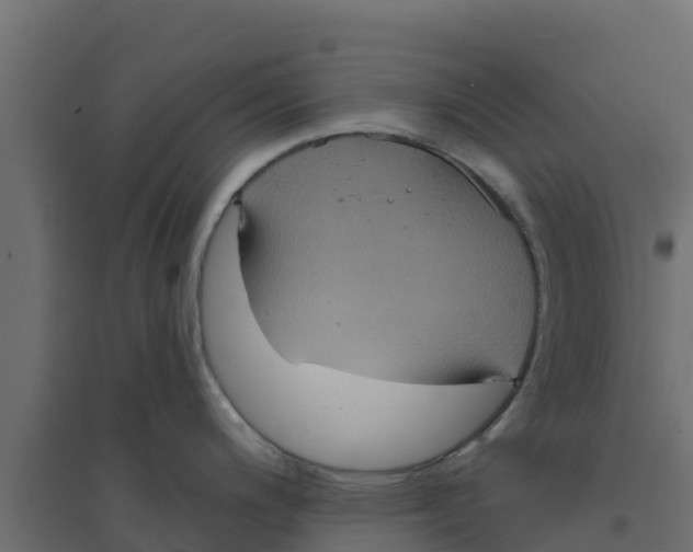 X0000094171200200711241523