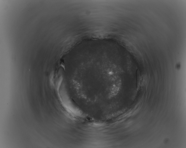 X0000094171202200711241522