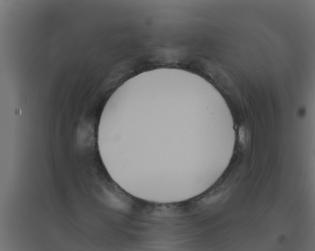 X0000094171203200711241522