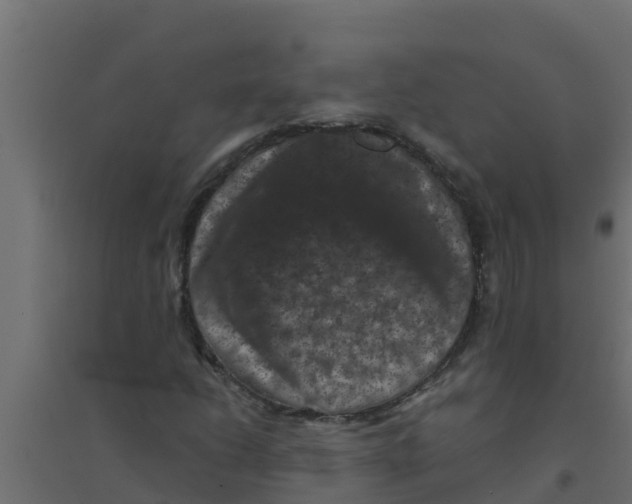 X0000094171206200711241522