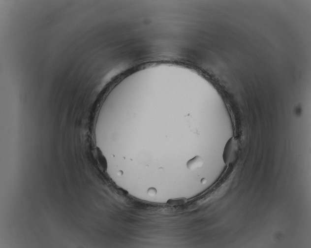 X0000094171210200711241523