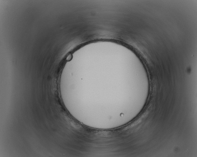 X0000094171211200711241523