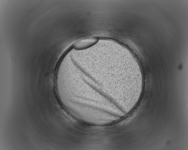 X0000094171212200711241523