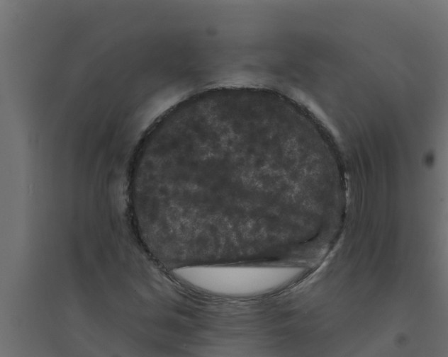 X0000094171213200711241523