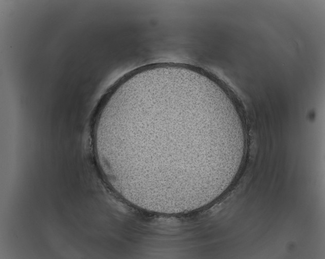 X0000094171215200711241523