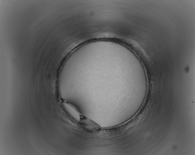 X0000094171217200711241523