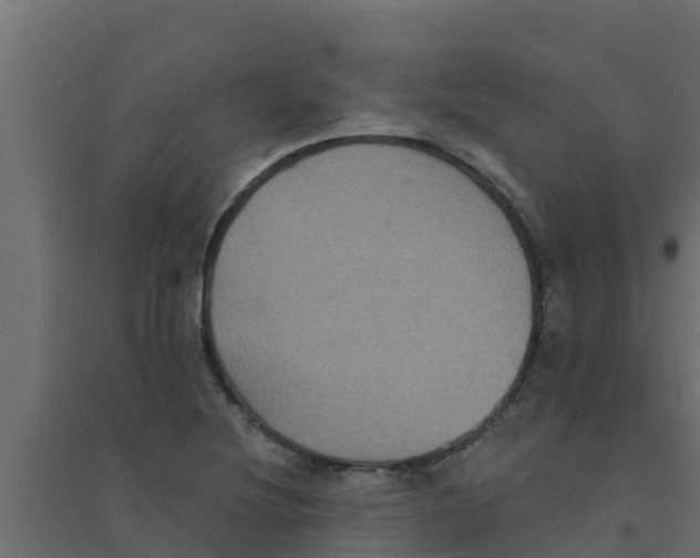 X0000094171220200711241523