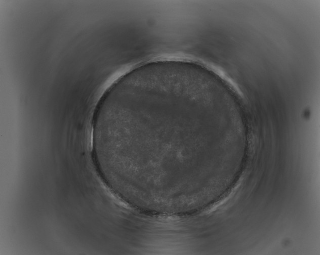 X0000094171221200711241523
