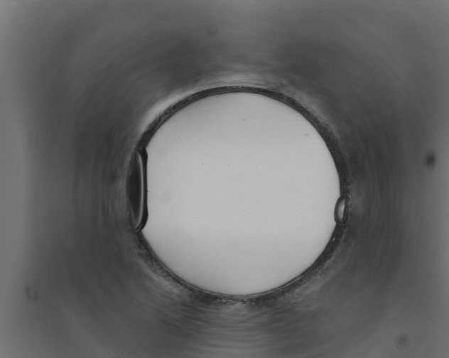 X0000094171222200711241523