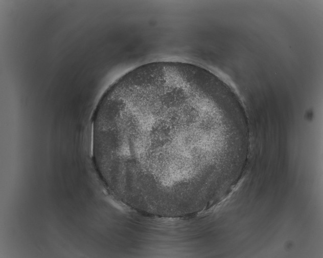 X0000094171223200711241523