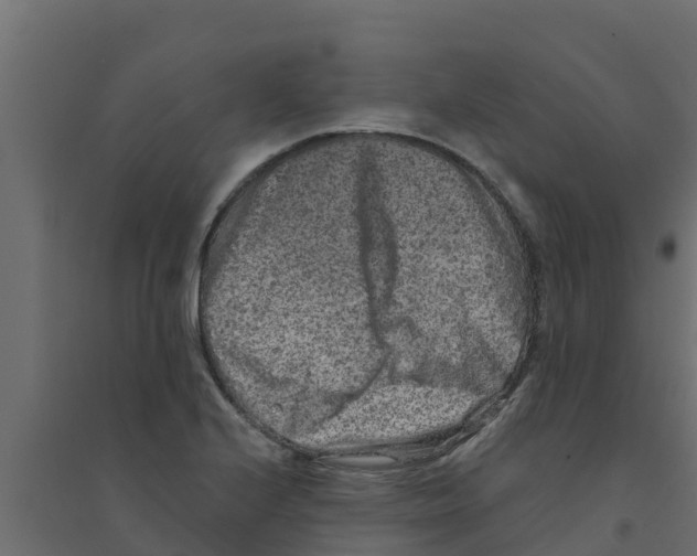 X0000094171224200711241523