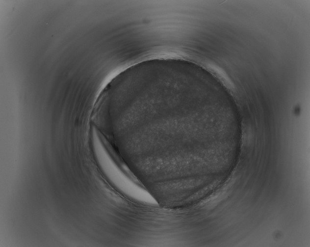 X0000094171226200711241523