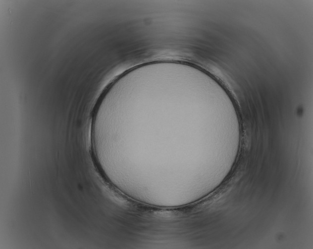 X0000094171227200711241523