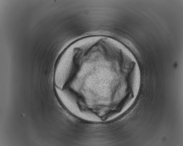 X0000094171228200711241523