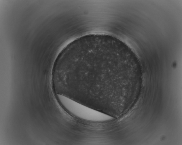 X0000094171229200711241523