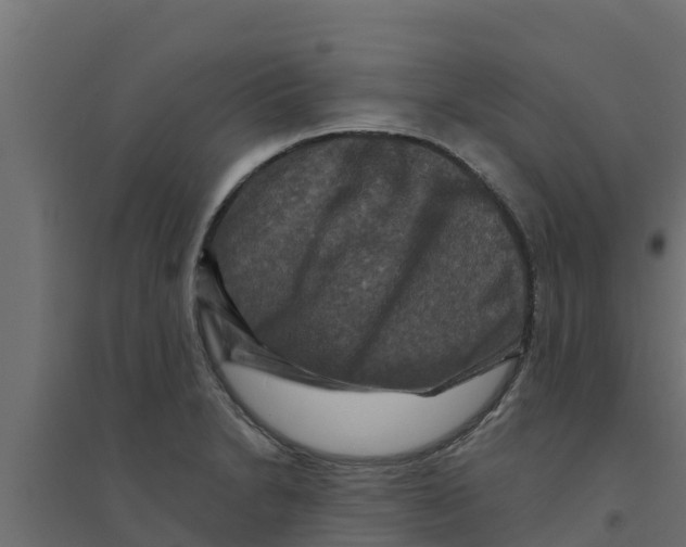 X0000094171230200711241523