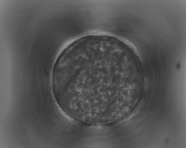 X0000094171231200711241523