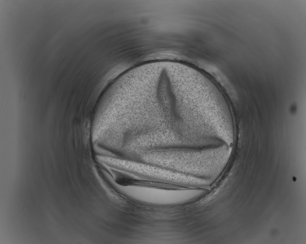 X0000094171233200711241523