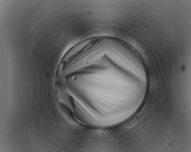 X0000094171234200711241523