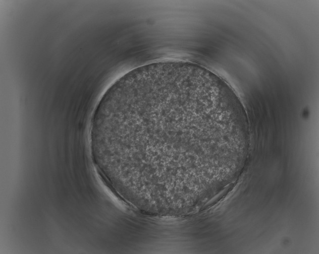 X0000094171235200711241523