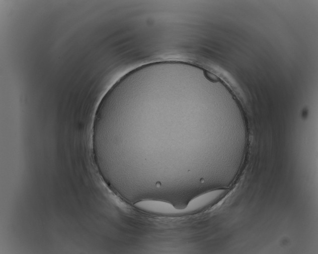 X0000094171236200711241523