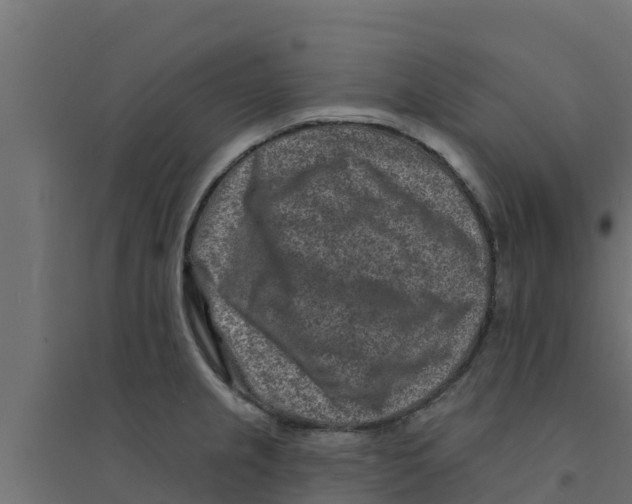 X0000094171237200711241523