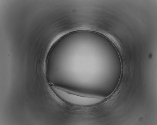 X0000094171238200711241523