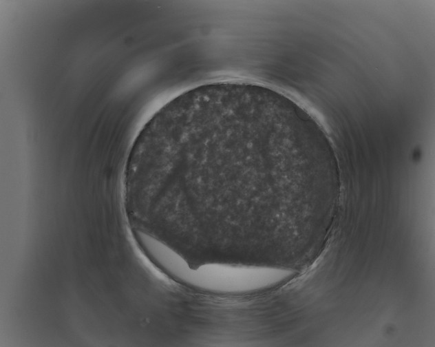 X0000094171239200711241523